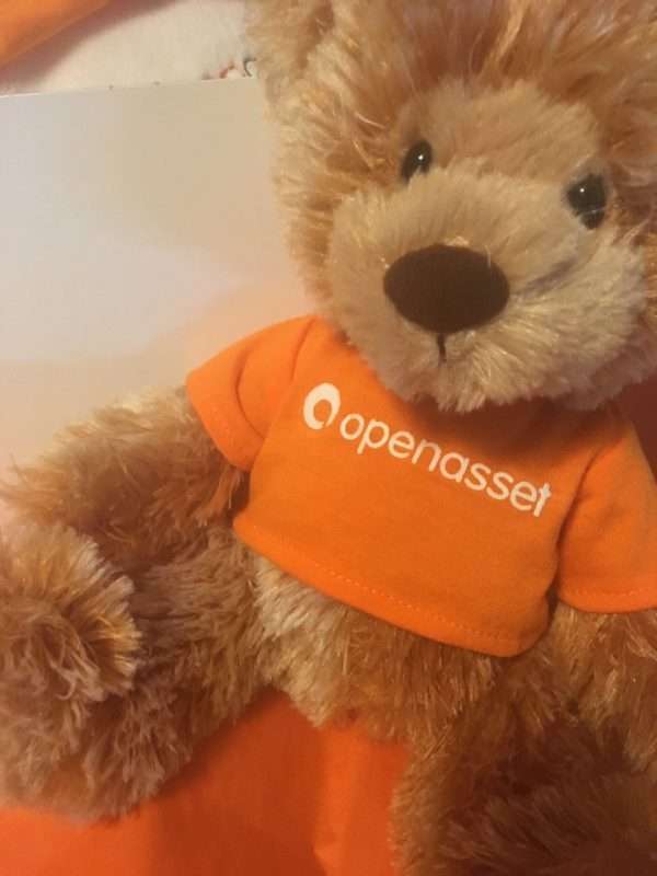 Caramel Bear with orange tshirt stamped with corporate logo