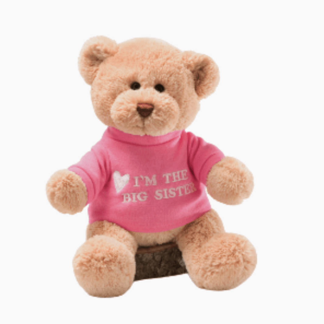 teddy bear with pink shirt that says I'm the Big Sister Teddy Bear by Gund